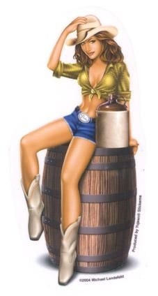 dixie cowgirl pin-up sticker