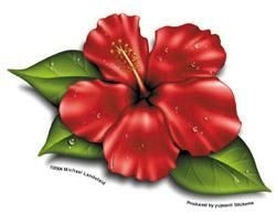 hibiscus flower sticker