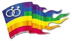 male pride flag sticker
