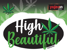 High Beautiful Sticker | NEW INTROS