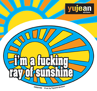 Ray of Sunshine Sticker | NEW INTROS