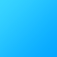 Test Item